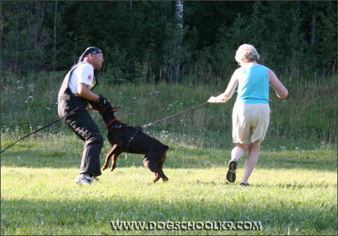 Summer training camp in Finland 2007